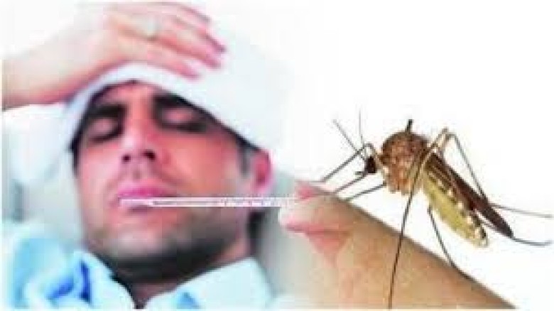 নারায়ণগঞ্জে ডেঙ্গুর প্রকোপ অব্যাহত রয়েছে