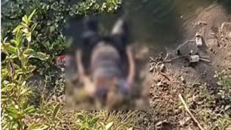 রূপগঞ্জে ট্রাক চাপায় শ্রমিক নিহত