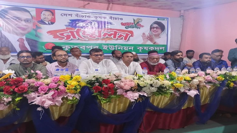 ফতুল্লার কুতুবপুরে কৃষকদলের কর্মী সম্মেলন অনুষ্ঠিত