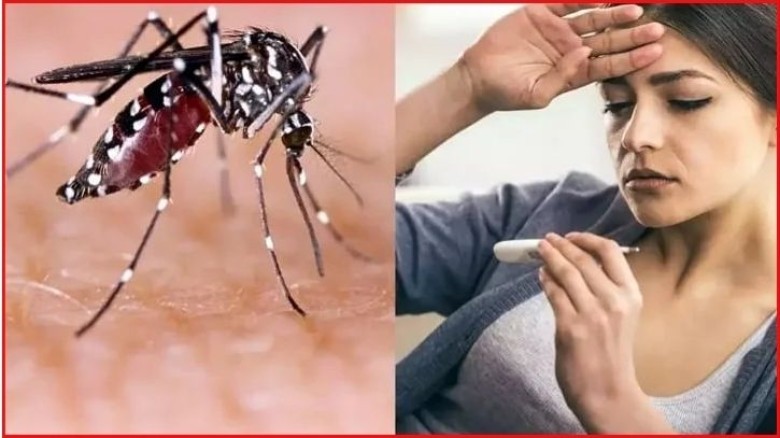 শীতেও মুক্তি নেই ডেঙ্গু থেকে