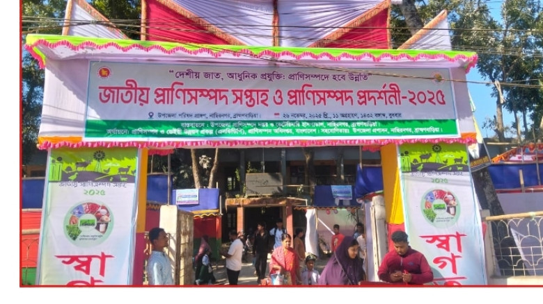নাসিরনগরে জাতীয় প্রাণিসম্পদ সপ্তাহ ও প্রদর্শনী উদযাপিত