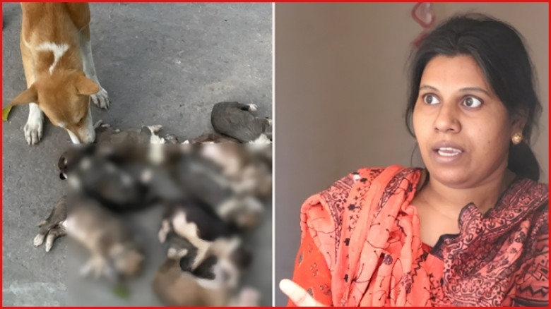 ঈশ্বরদীতে আট কুকুরছানা হত্যা: অভিযুক্ত নারী গ্রেফতার