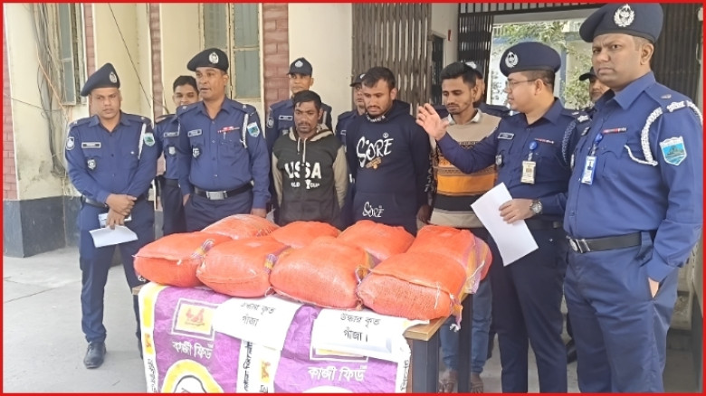 সিরাজগঞ্জে বিশেষ অভিযানে ৪৩ কেজি গাঁজা জব্দ, আটক ৩