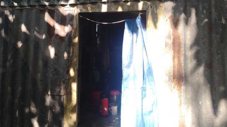 ওসমান হাদির গ্রামের বাড়িতে চুরি