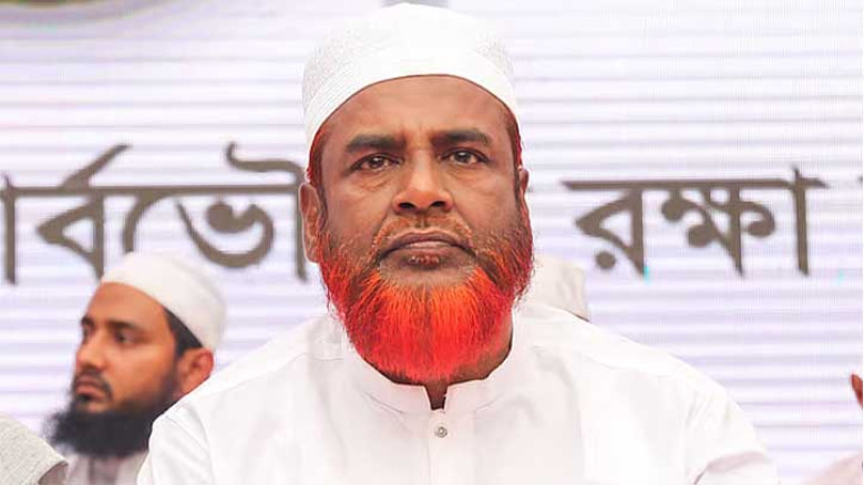 শহীদ বুদ্ধিজীবীদের পাকিস্তানিরা নয়, হত্যা করে ভারতীয়রা: গোলাম পরওয়ার