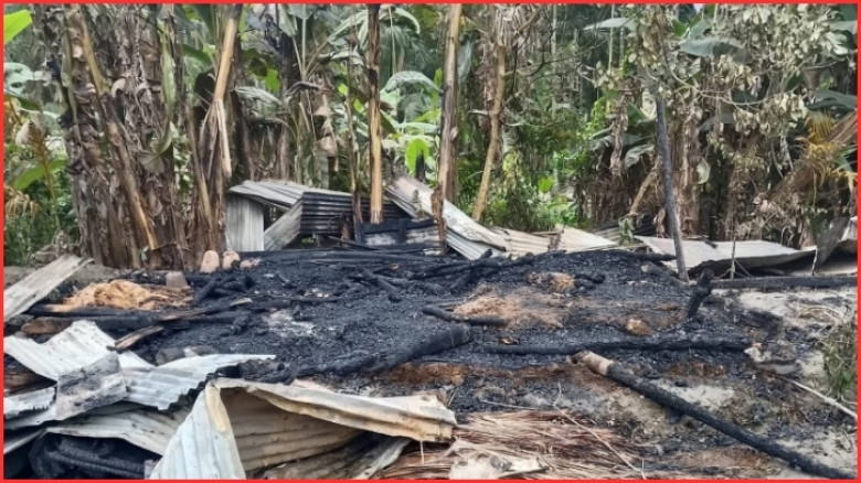 ভোলায় কৃষক দল নেতার হাস-মুরগির খামারে আগুন