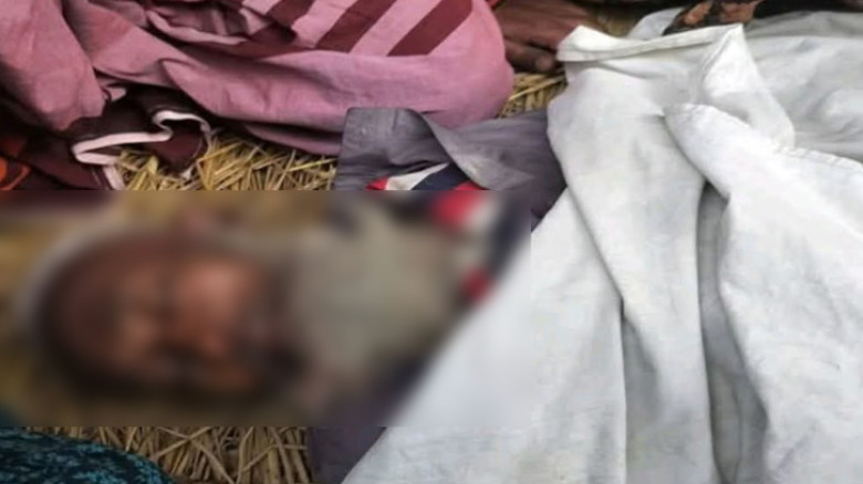 ভূরুঙ্গামারীতে ট্রলির ধাক্কায় বৃদ্ধ নিহত
