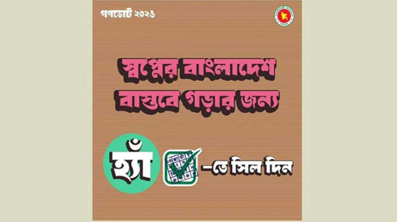 গণভোট নিয়ে সরকারের ‘হ্যাঁ’ ভোটের প্রচারে বাধা দেখছে না ইসি