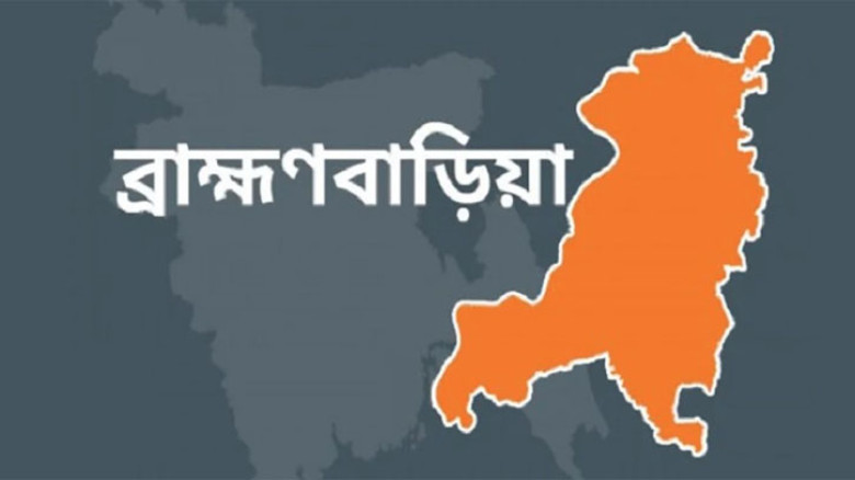 নবীনগরে বিএনপির ৮ নেতাকে বহিষ্কার