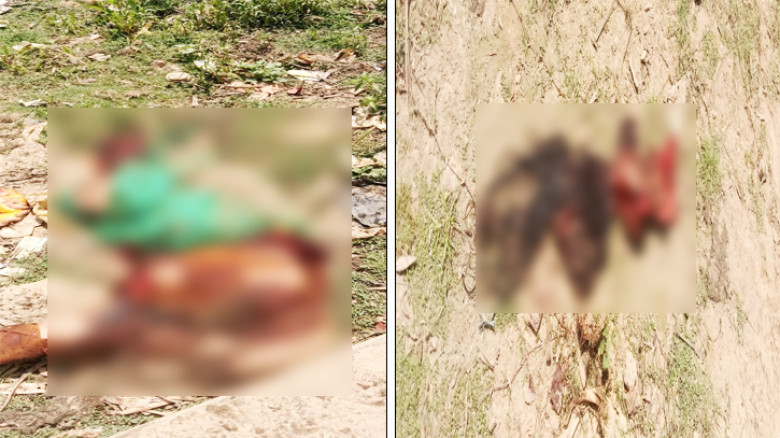 আখাউড়ায় ট্রেনের নিচে কাটা পরে ১ নারীর মৃত্যু