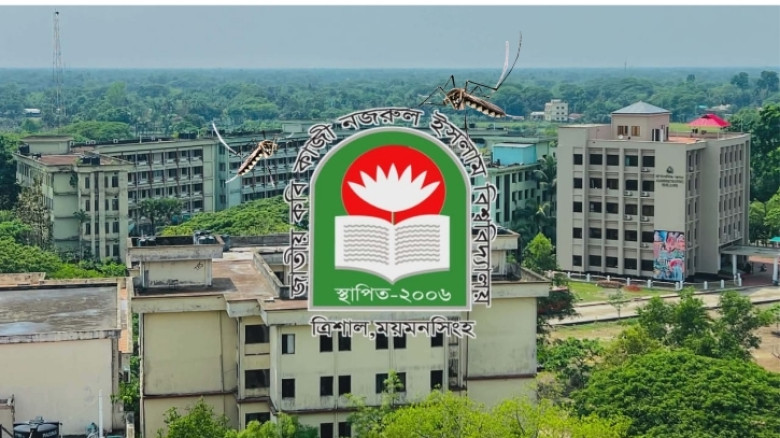 আবাসিক হলগুলোতে মশার উপদ্রব, স্বস্তি চায় নজরুল বিশ্ববিদ্যালয়ের শিক্ষার্থীরা