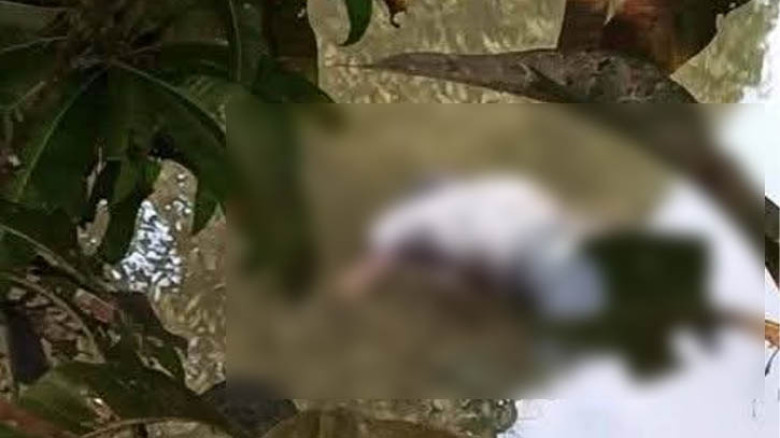 ব্রাহ্মণবাড়িয়ায় পুকুর থেকে অর্ধগলিত লাশ উদ্ধার