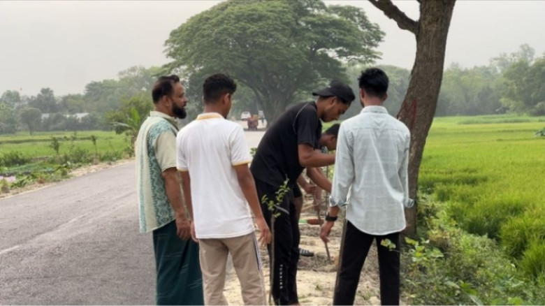 পায়ব গ্রামে তরুণ সমাজের উদ্যোগে দুই শতাধিক ফুল গাছ রোপণ