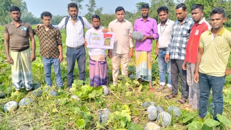 কুড়িগ্রামে স্থানীয় কৃষকদের অংশগ্রহণে মিষ্টি কুমড়ার মাঠ দিবস