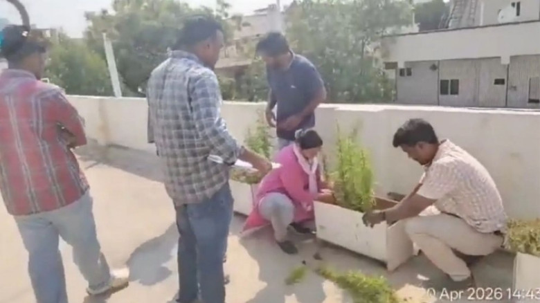ছাদের বাগানে গাঁজা চাষ, সফটওয়্যার ইঞ্জিনিয়ার গ্রেফতার