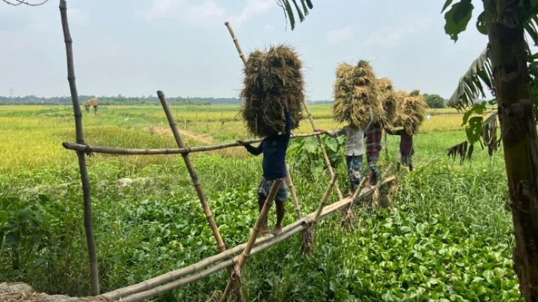 খাল থাকলেও নেই ব্রিজ; জীবন ঝুঁকিতে শোলাপুকুরিয়া-ভবানীপুরের মানুষ