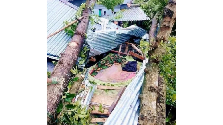 জামালপুরে কালবৈশাখী ঝড়ে গাছের  চাপায় মা-মেয়ে সহ নিহত ৩