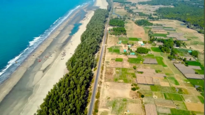 প্রধানমন্ত্রীর এক সিদ্ধান্তে রক্ষা পেলো ৩ হাজারের বেশি গাছ