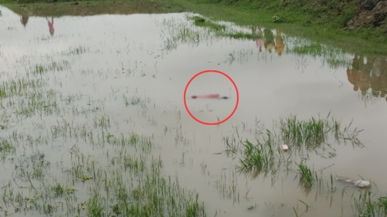 আখাউড়ায় জমিতে মিললো মেয়ে শিশুর লাশ, হত্যার অভিযোগ পরিবারের
