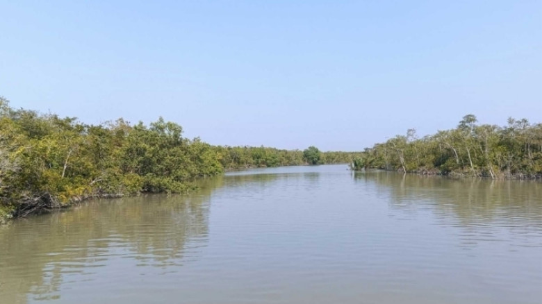 দুই দিনে সুন্দরবনে ২২ জেলের অপহরণ