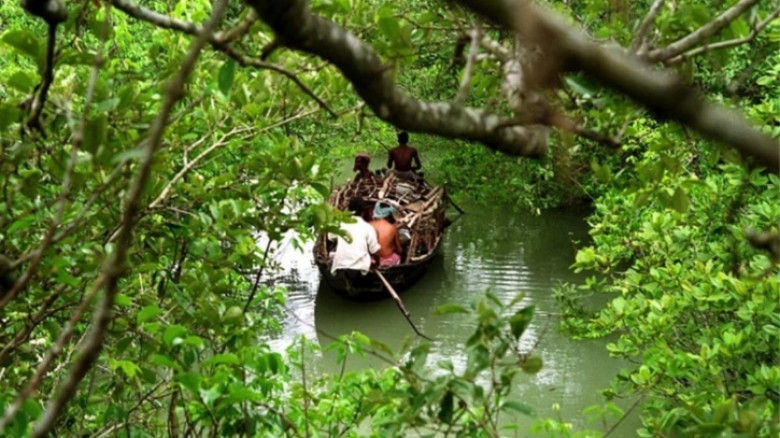 ৭ দিন জিম্মি থাকার পর মুক্তিপণ দিয়ে ফিরলেন ১১ জেলে