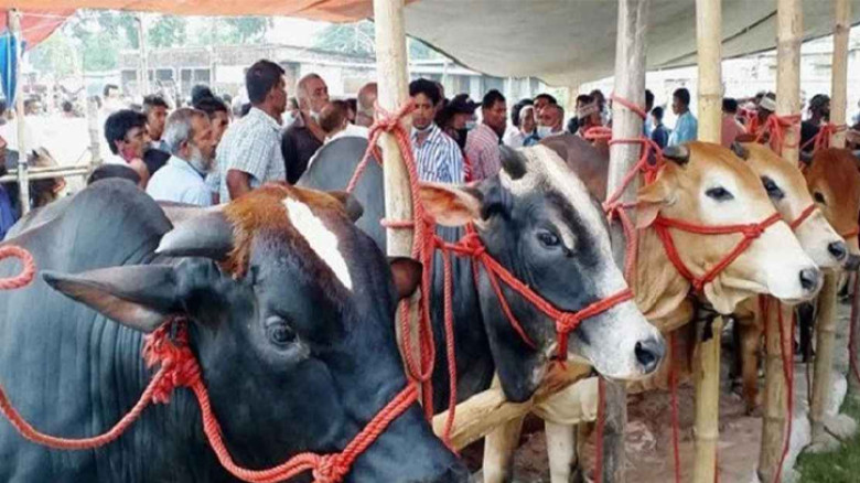 রাজধানীর যে ২৭ স্থানে বসছে কোরবানির পশুর হাট