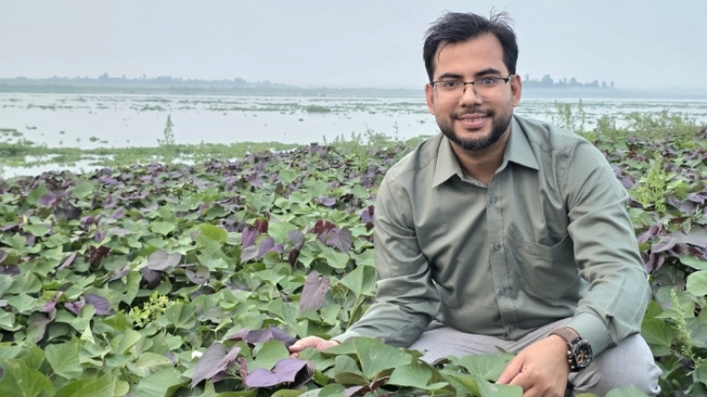 নবীনগরে বাড়ছে ওকিনাওয়া মিষ্টি আলোর চাহিদা