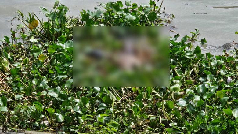 গাজীপুরে ৫ হত্যা: মুন্সিগঞ্জে পদ্মায় ভাসছিল প্রধান অভিযুক্ত ফোরকানের মৃতদেহ