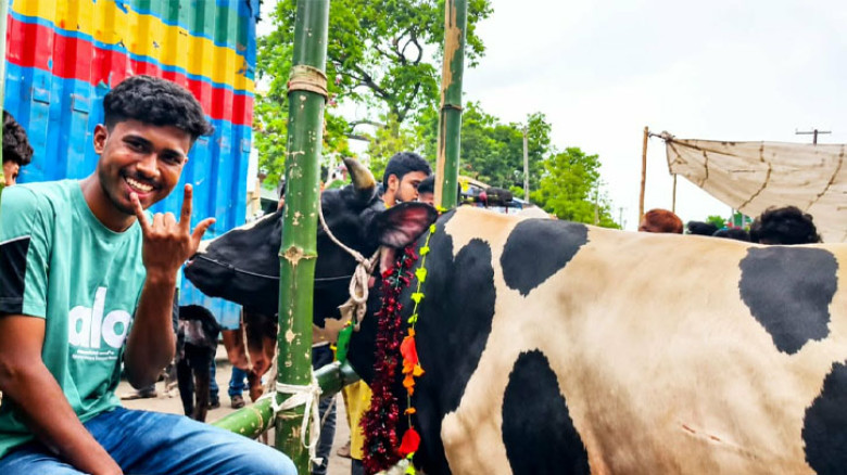 চঞ্চল স্বভাবের গরু, নাম রাখা হলো ‘নাসীরুদ্দিন পাটওয়ারী’