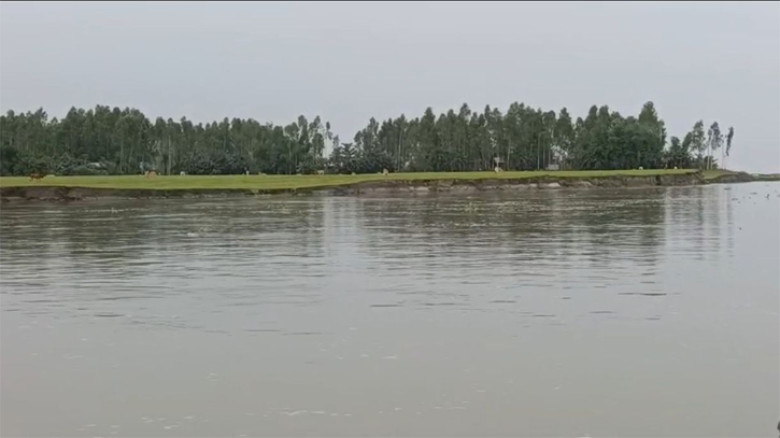 কুড়িগ্রামের চরে মানুষের কোরবানির স্বপ্ন এখন বিলাসিতা
