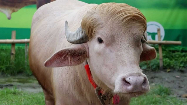 ফের বিশ্ব গণমাধ্যমে সেই ‘ডোনাল্ড ট্রাম্প’