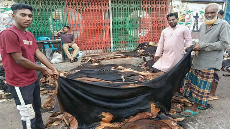 কোরবানির পশুর চামড়া নিয়ে আবারও হাহাকার: গরুর ১০০-৬০০ টাকা, ছাগলেরটা কেউ নেয় না