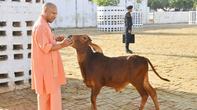 মা' হিসেবে গরু অর্ঘ্য নিবেদনেরও পাত্র: যোগী আদিত্যনাথ