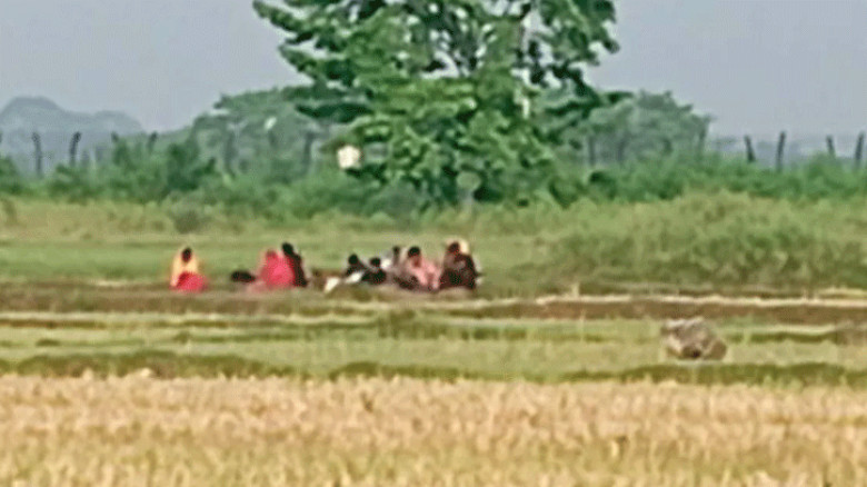 বিএসএফের পুশইনে সীমান্তের শূন্যরেখায় বিপাকে ১০ জনের মানবেতর জীবন