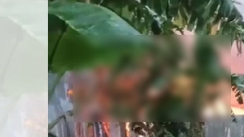 পাবনায় শিক্ষার্থীকে ধর্ষণ-হত্যার জেরে অগ্নিকাণ্ড, ৩ জনের মৃত্যু