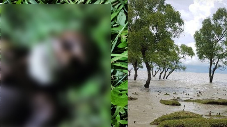 মিরসরাই–সীতাকুণ্ডে দুই মরদেহ উদ্ধার