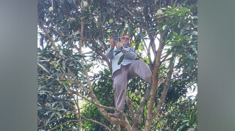 অনলাইন হাজিরা দিতে গাছের মগডালে প্রধান শিক্ষক, ছবি ভাইরাল