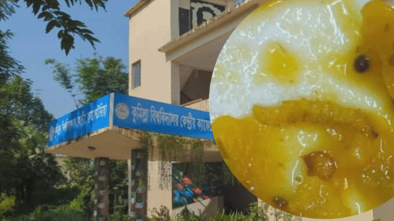 কুবির কেন্দ্রীয় ক্যাফেটেরিয়ার খাবারে পোকা, শিক্ষার্থীদের ক্ষোভ