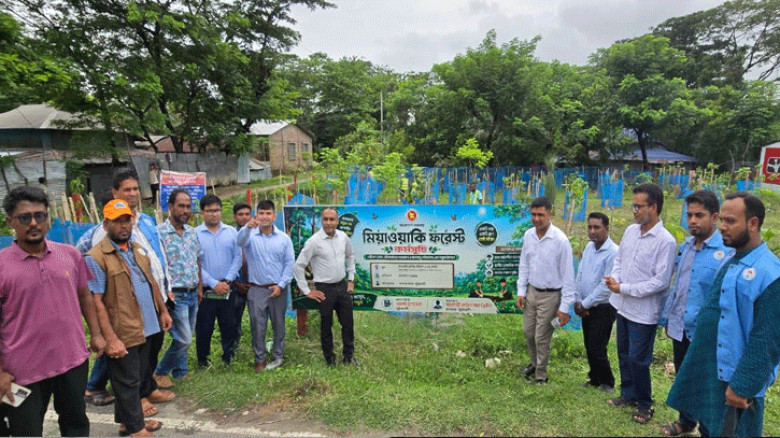 খাস জমিতে গড়ে উঠছে মিয়াওয়াকি বন, কুয়াকাটায় সবুজায়নের নতুন উদ্যোগ