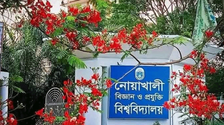 টিএইচই ইমপ্যাক্ট র‍্যাঙ্কিংস ২০২৬-এ দেশের সেরা পাবলিক বিশ্ববিদ্যালয় নোবিপ্রবি