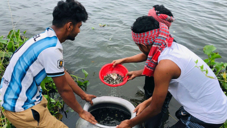 তিতাস নদীতে ৫০ হাজার মাছের পোনা অবমুক্ত করল ‘কুড়িঘর, আমাদের গ্রাম’