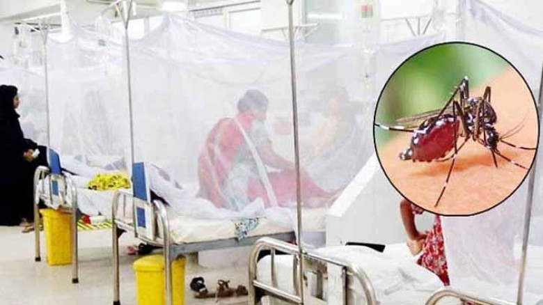 ডেঙ্গুতে একদিনেই প্রাণ গেল ৩ জনের
