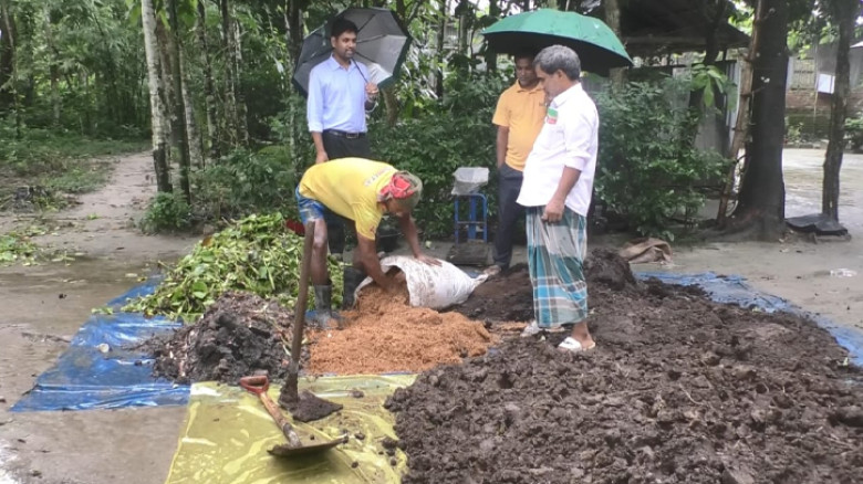 কুড়িগ্রামে জৈব সারের ব্যবহারে লাভবান হচ্ছে কৃষক