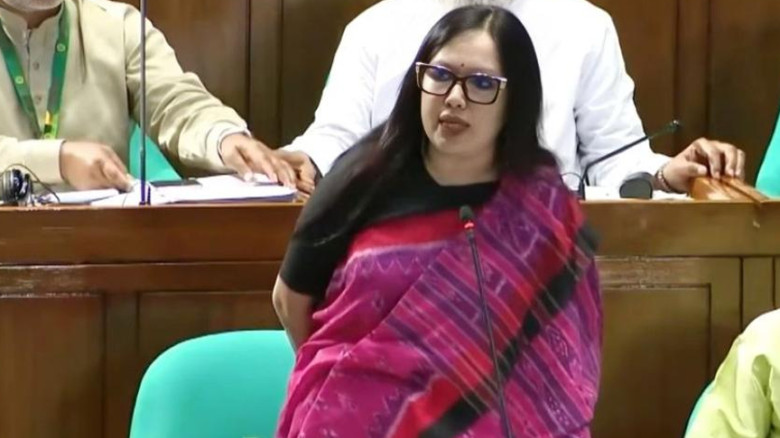 মাদক বহনকারীরাই ধরা পড়ে, ব্যবসার সঙ্গে জড়িতরা যায় সংসদে: রুমিন ফারহানা