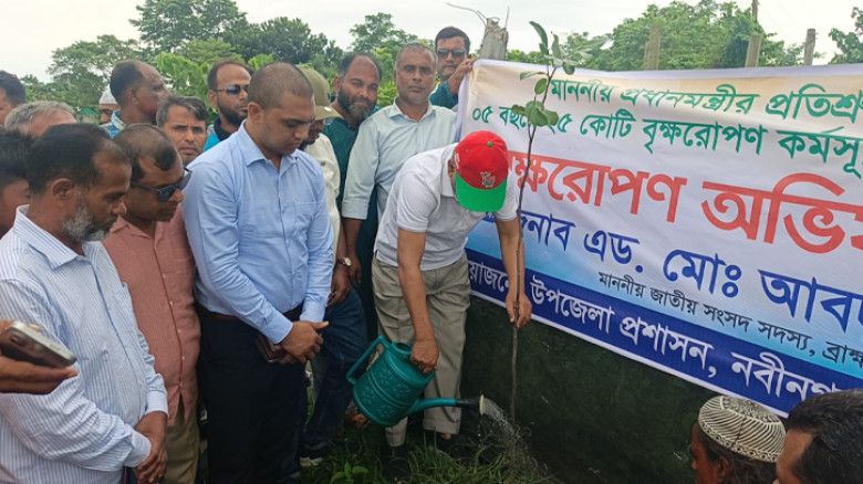 মাননীয় প্রধানমন্ত্রীর প্রতিশ্রুতির আলোকে নবীনগরে বৃক্ষরোপণ অভিযান উদ্বোধন করলেন এমপি
